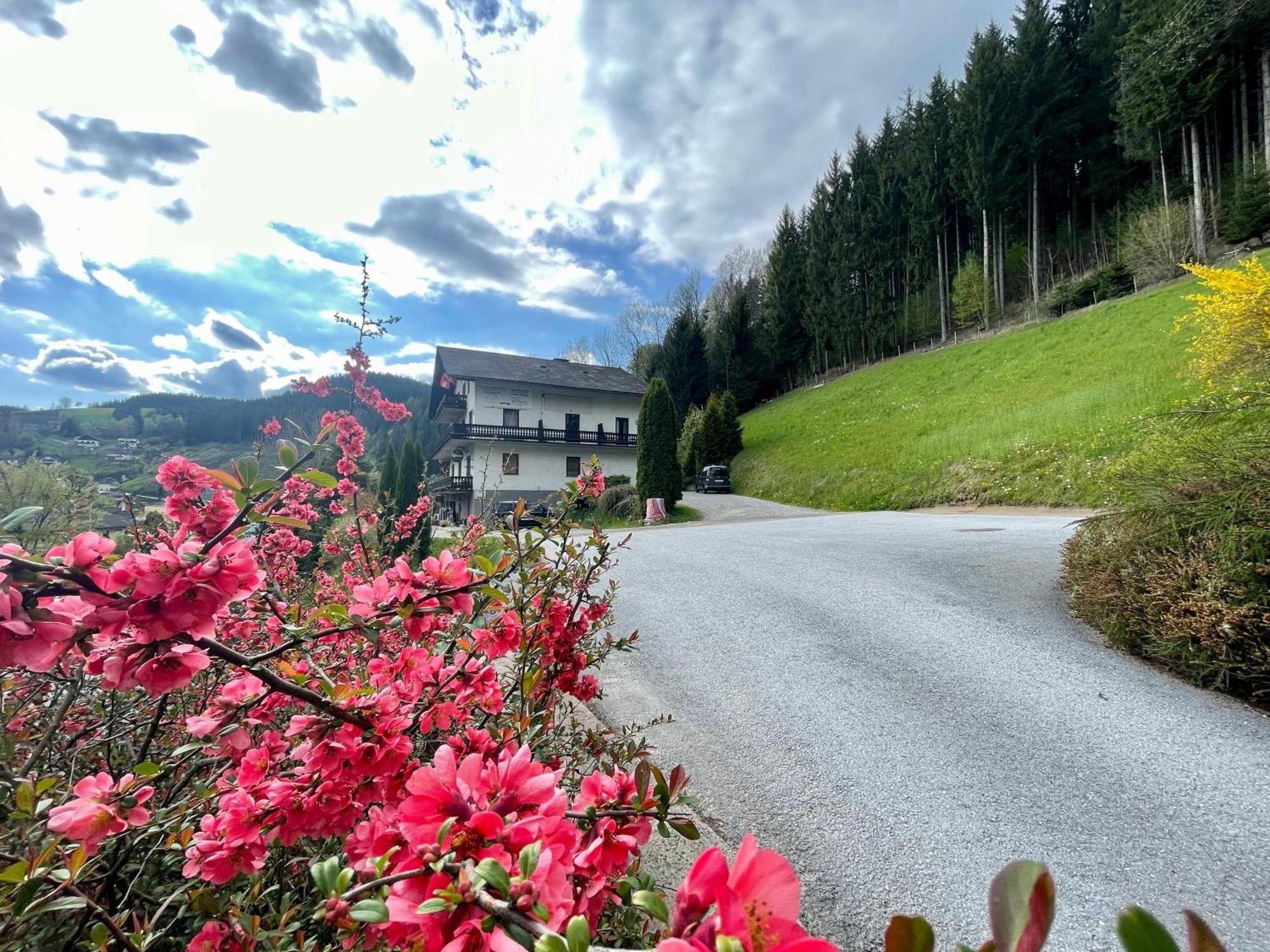 Alpenpension Gasthof Ratten Exteriér fotografie